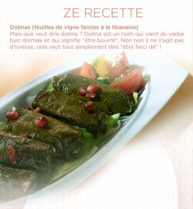 Image de l'article 'Recette Dolmas'