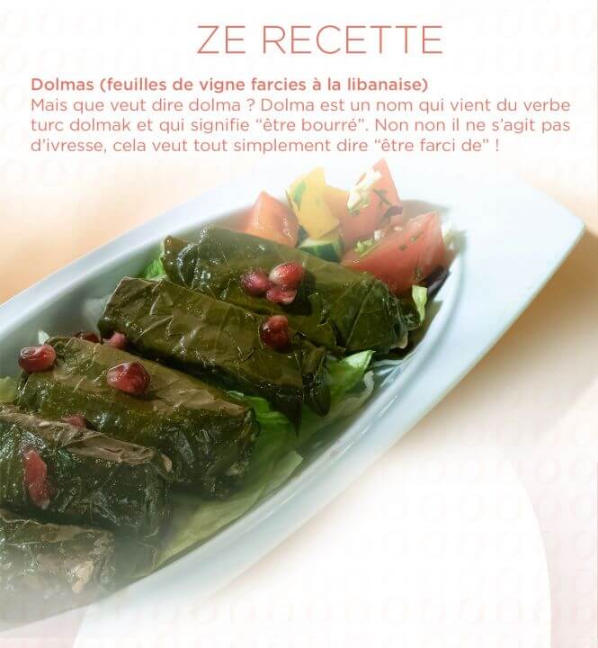 Recette Dolmas